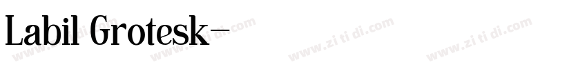 Labil Grotesk字体转换